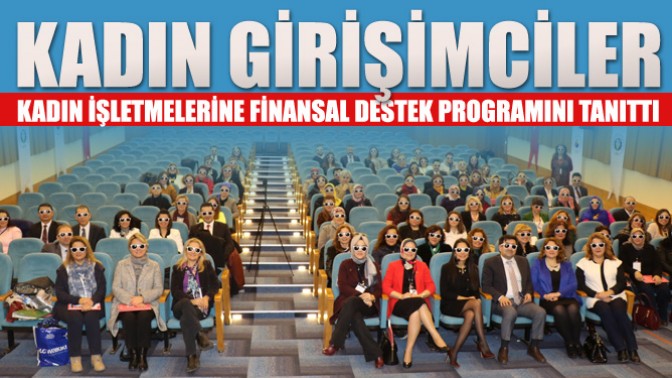 Kadın İşletmelerine Finansal Destek Programı