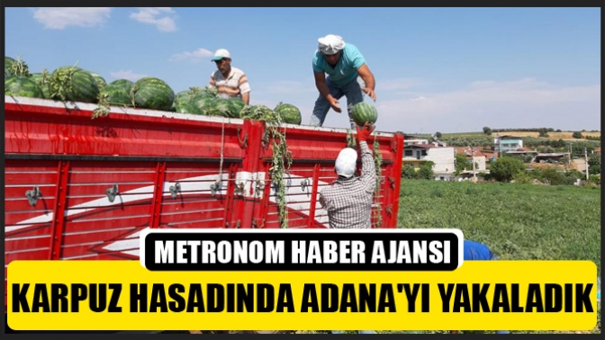 Karpuz hasadında Adanayı yakaladık