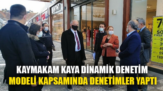 Kaymakam Kaya, Dinamik Denetim Modeli kapsamında denetimler yaptı