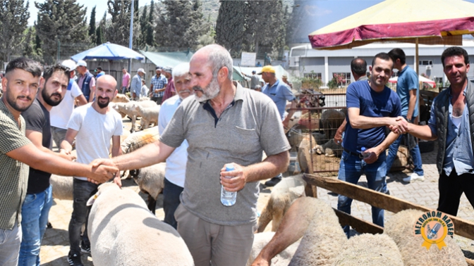 Kurban Bayramı Öncesi Arefe Bereketi