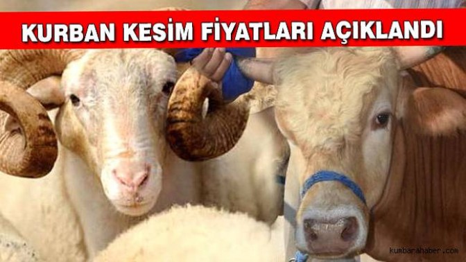 Kurban kesim fiyatları belli oldu