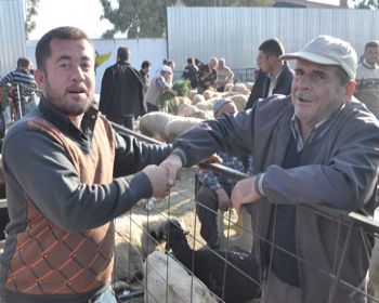 Kurban Bayramında Arafe Bereketi