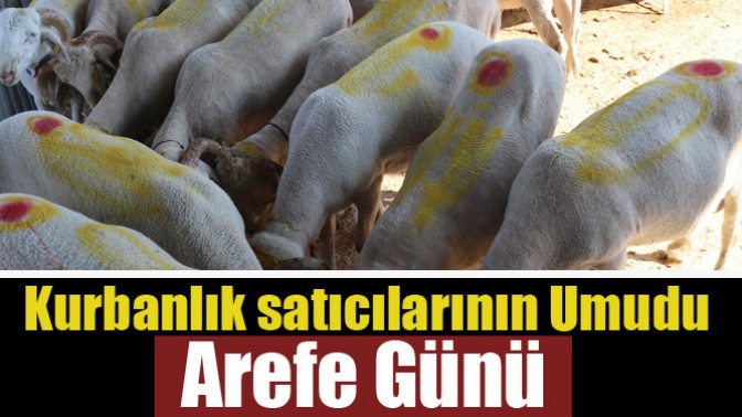 Kurbanlık satıcılarının Umudu Arefe Günü