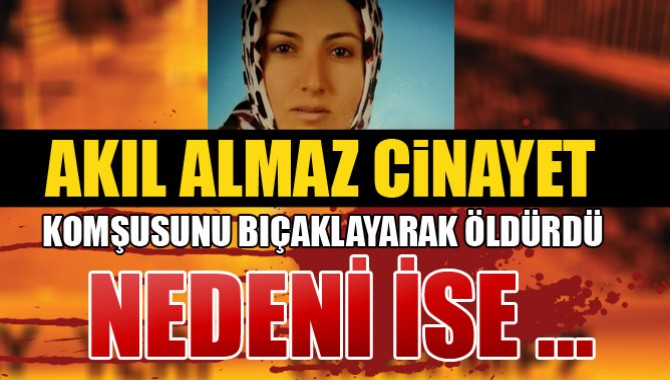 Manisa'da Akıl Almaz Cinayet! Komşusunu Bıçaklayarak Öldürdü