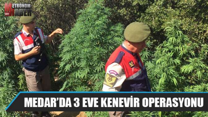 Medar Mahallesinde 3 eve kenevir operasyonu