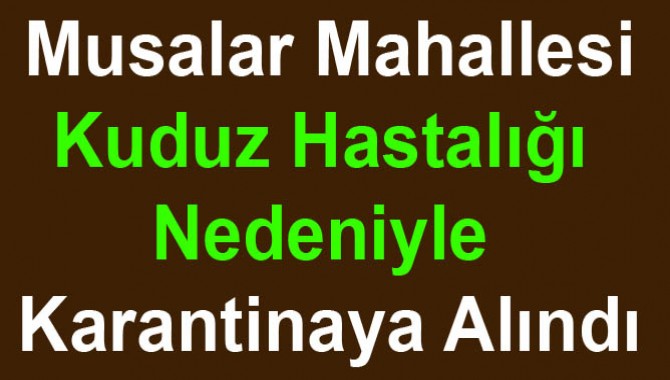 Musalar Mahallesi Kuduz Hastalığı Nedeniyle Karantinaya Alındı‏