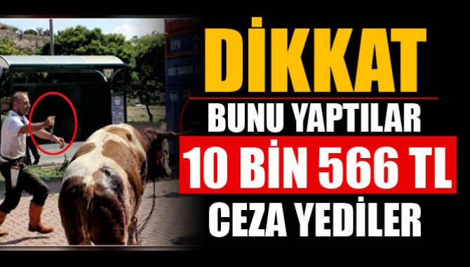 O Harekete 10.566 TL Ceza Yediler