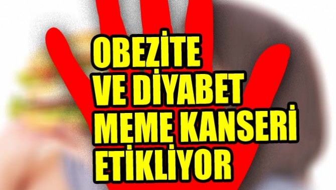 OBEZİTE VE DİYABET MEME KANSERİ RİSKİNİ TETİKLİYOR