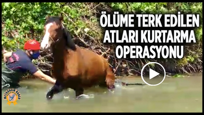 Ölüme Terk Edilen Atları İtfaiye Kurtardı