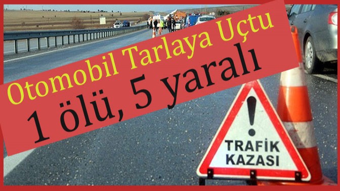 Otomobil Tarlaya Uçtu