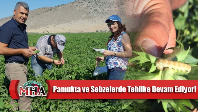 Pamukta ve Sebzelerde Tehlike Devam Ediyor!