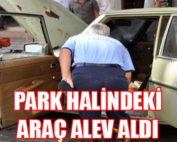 PARK HALİNDEKİ ARAÇ ALEV ALDI