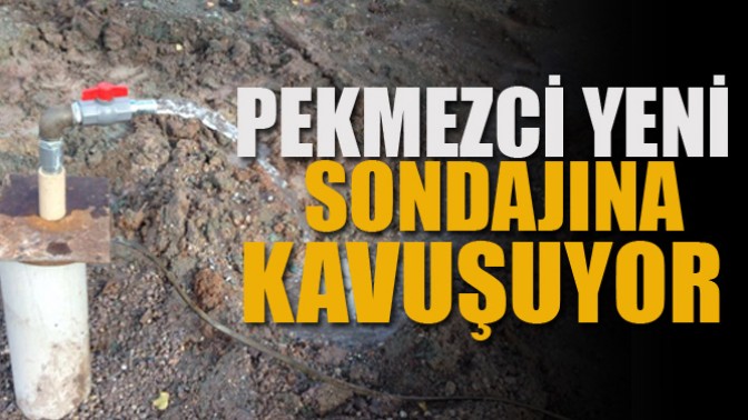 Pekmezci Yeni Sondajına Kavuşuyor