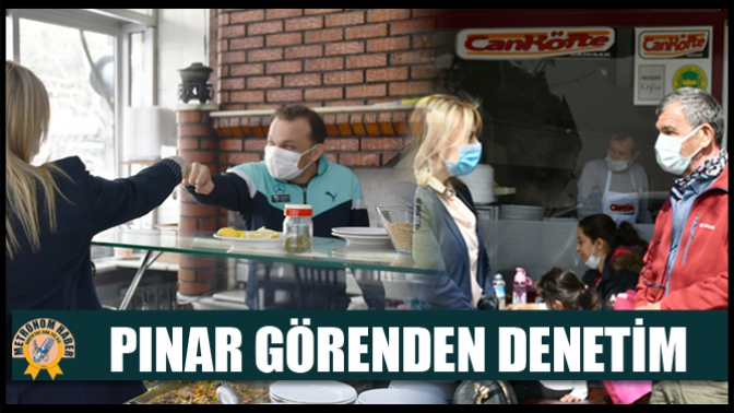 Pınar Görenden Denetim