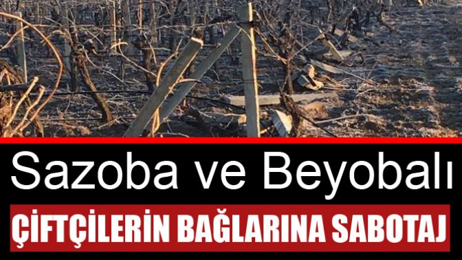 Sazoba ve Beyobalı çiftçilerin bağlarına sabotaj