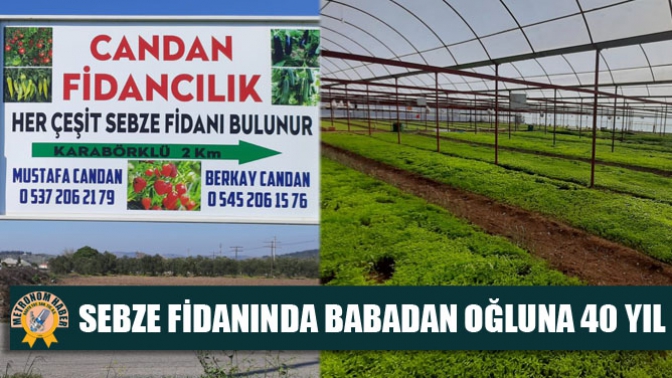 Sebze Fidanında Babadan Oğluna 40 Yıl