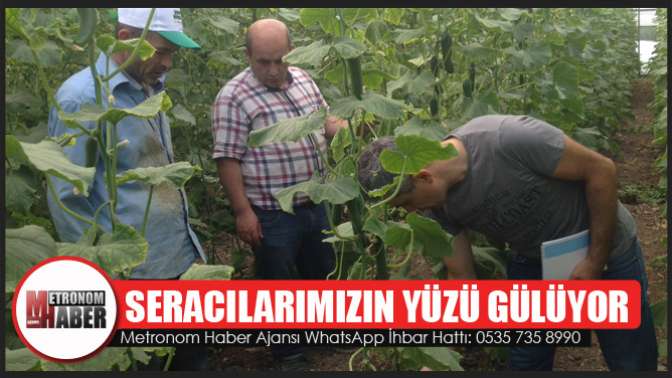 Seracılarımızın yüzü gülüyor