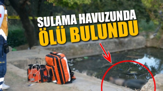 Sulama Havuzunda Ölü Bulundu