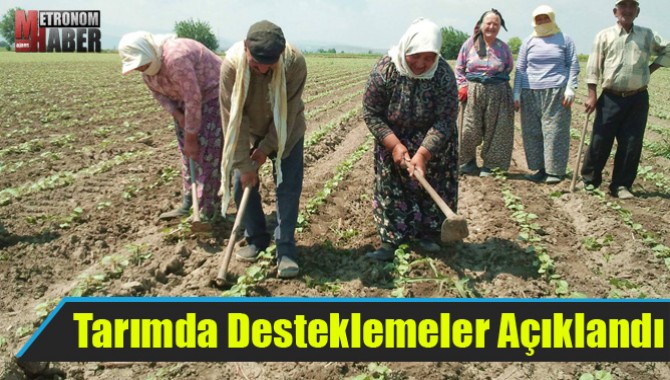 Tarımda Desteklemeler Açıklandı