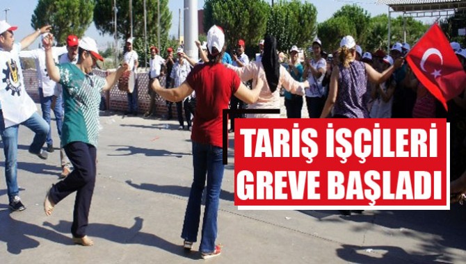 Tariş İşçileri Greve Başladı