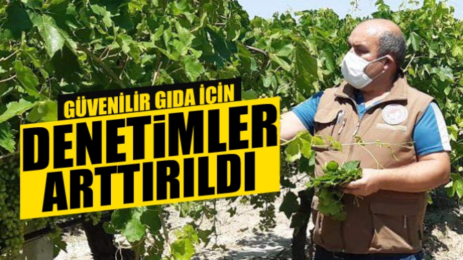 Tarladan Sofraya, Güvenilir Gıda İçin Denetimler Artırıldı