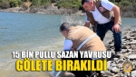 15 Bin Pullu Sazan Yavrusu Gölete Bırakıldı