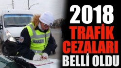 2018'in Trafik Cezaları Belli Oldu