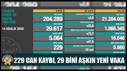 229 Can Kaybı, 29 Bini Aşkın Yeni Vaka