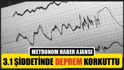 3.1 Şiddetin Deprem Korkuttu