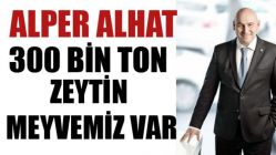 300 Bin Ton Zeytin Meyvemiz Var