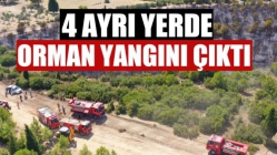 4 Ayrı Yerde Orman Yangını Çıktı