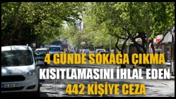 4 Günde Sokağa Çıkma Kısıtlamasını İhlal Eden 442 Kişiye Ceza