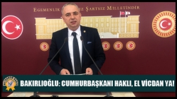 Ahmet Vehbi Bakırlıoğlu: Cumhurbaşkanı Haklı, El Vicdan Ya!