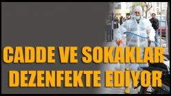 Akhisar Belediyesi, Cadde Ve Sokakları Da Dezenfekte Ediyor