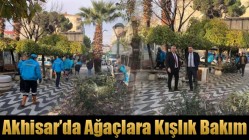 Akhisar’da Ağaçlara Kışlık Bakım