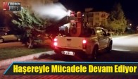 Akhisar’da Haşereyle Mücadele Devam Ediyor