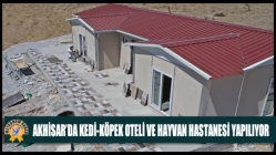 Akhisar’da Kedi-Köpek Oteli Ve Hayvan Hastanesi Yapılıyor