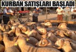 Akhisar’da Kurban Satışları Başladı