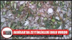 Akhisar’da zeytinlikleri dolu vurdu