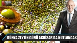 Akhisar, Dünya Zeytin Gününü kutlayacak; konuşulmayanlar konuşulacak!