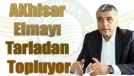 Akhisar, Elmayı Tarladan Topluyor