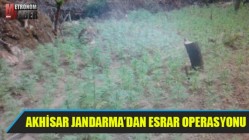 Akhisar Jandarma’dan Esrar Operasyonu