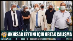 Akhisar Zeytini İçin Ortak Çalışma