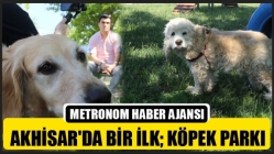 Akhisar'da Bir İlk; Köpek Parkı