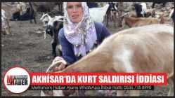 Akhisar'da kurt saldırısı iddiası