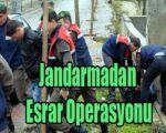 Akhisarda, Jandarmadan Esrar Operasyonu