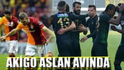 Akigo Aslan Avında