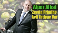 Alhat: “Zeytin Primine Acil İhtiyaç Var”