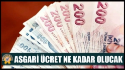 Asgari Ücret Ne Kadar Olucak?