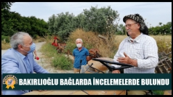 Bakırlıoğlu Bağlarda İncelemelerde Bulundu